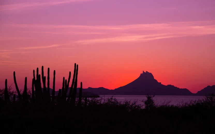 San Carlos Nuevo Guaymos