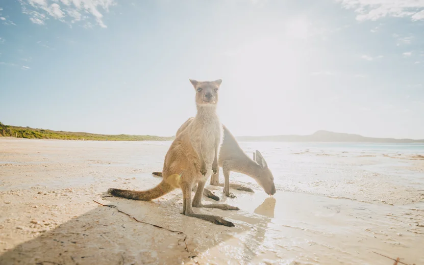 Australia