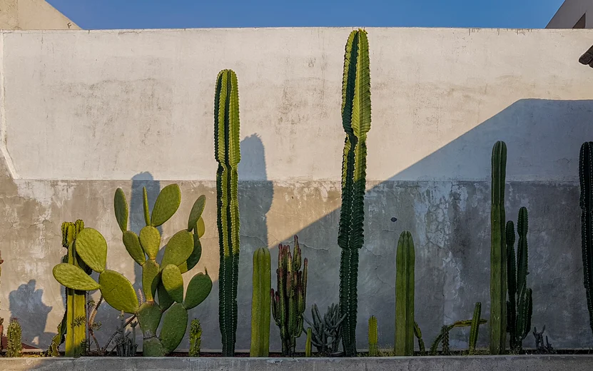 Mexico City