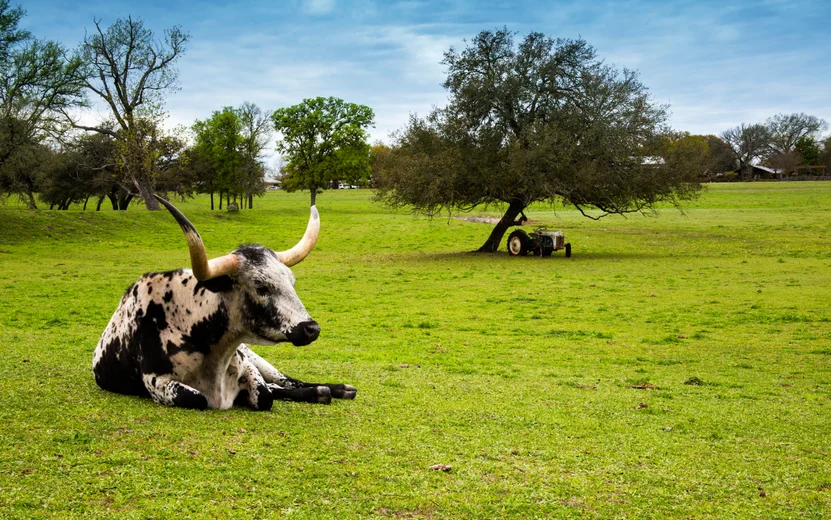 Texas