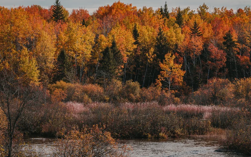 Manitoba