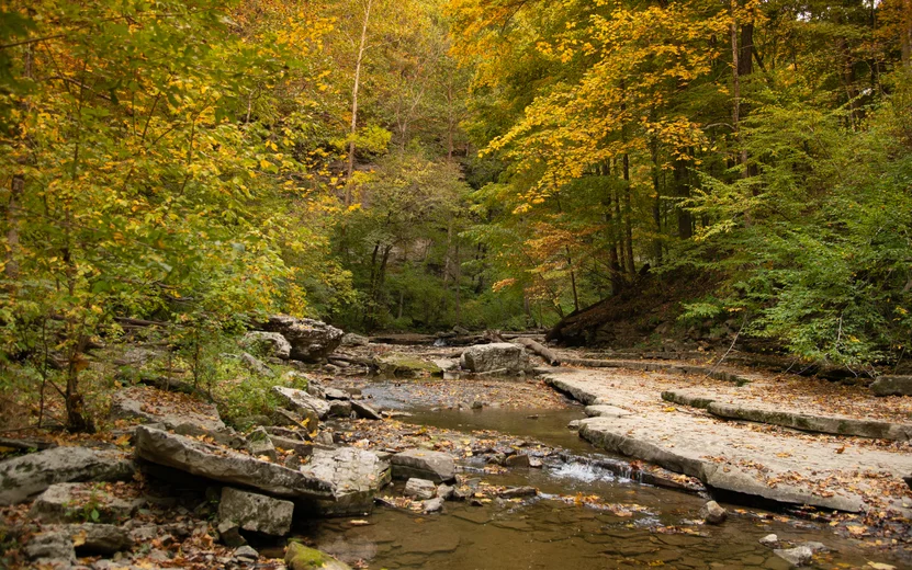 Indiana