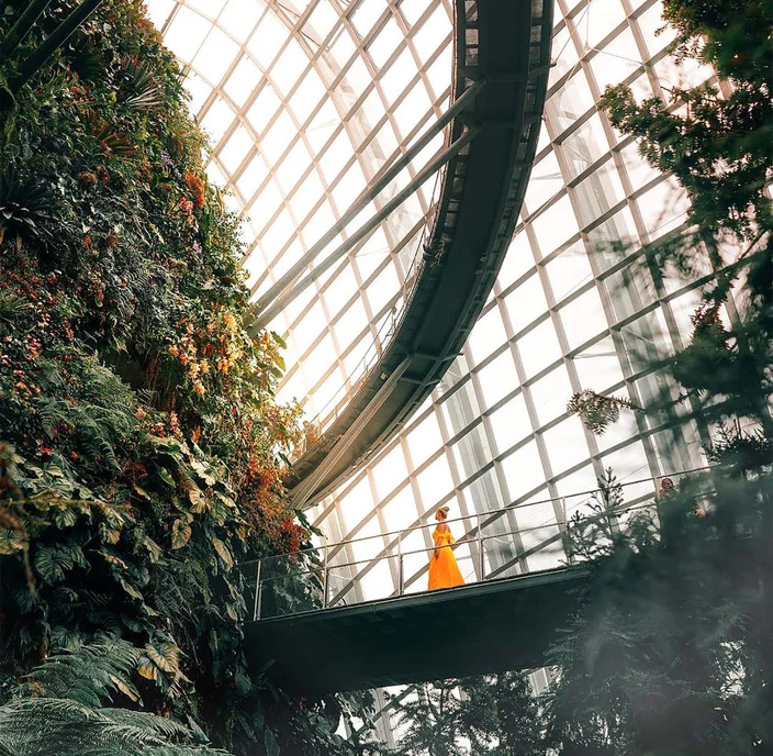 You Can Walk Through a Cloud Forest in Singapore