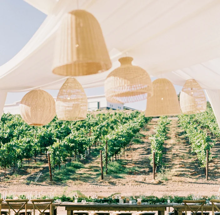 From the Sea to Wineries: San Luis Obispo County's Best Wedding Venues
